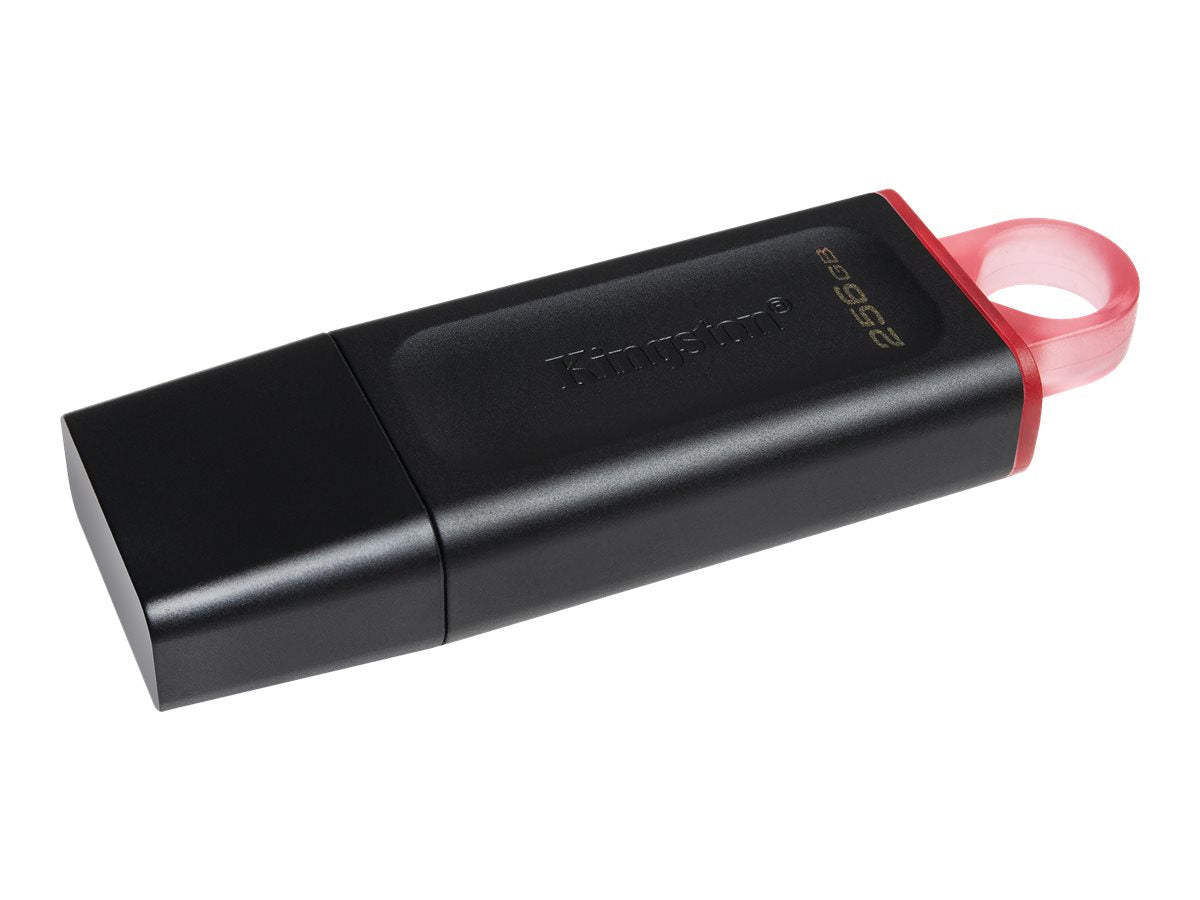 Kingston DataTraveler Exodia - Unidad flash USB - 256 GB - USB 3.2 Gen 1 - negro/rosa