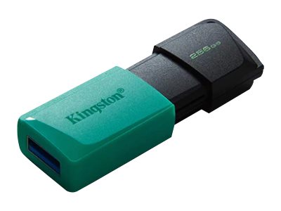 Kingston DataTraveler Exodia M - Unidad flash USB - 256 GB - USB 3.2 Gen 1-2