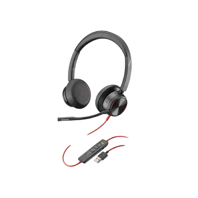 Poly BW 3320 Stereo -M USB-C HS +USB-C/A-1