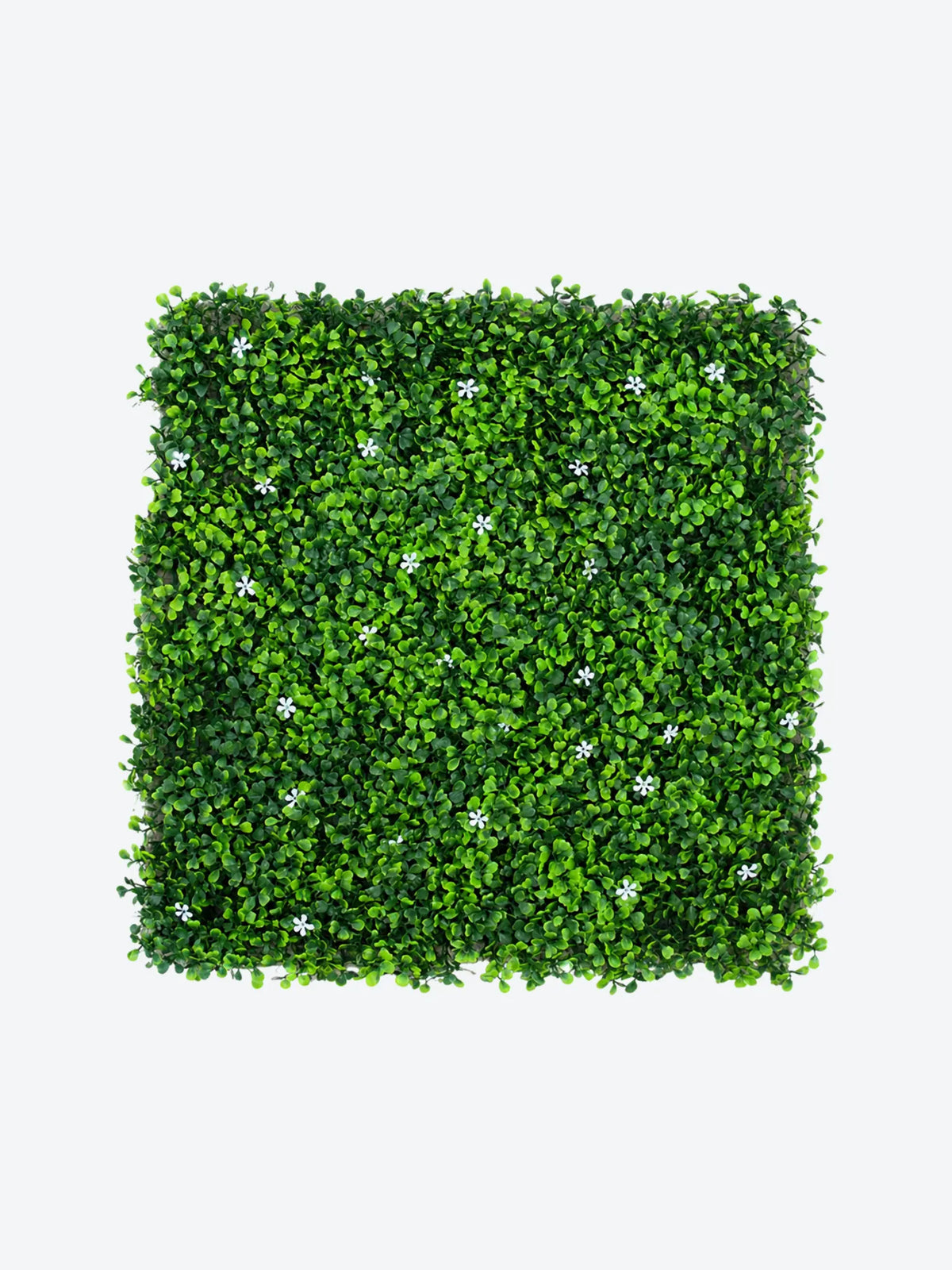FOLLAJE ART. FLOR BLANCA CON BOXWOOD, 50X50CM-1