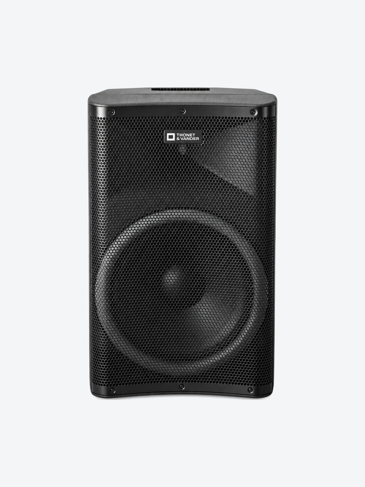 PARLANTE THONET & VANDER STARKG2 250W BLUETOOTH / RCA CON MICROFONO INALÁMBRICO HK096-03646