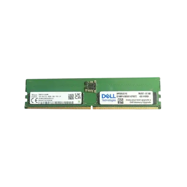Memoria RAM 16 GB - 1RX8 DDR5 UDIMM 5600 MT/s ECC (Not Compatible with 4800 MT/s DIMMs) T160 Y R360-1