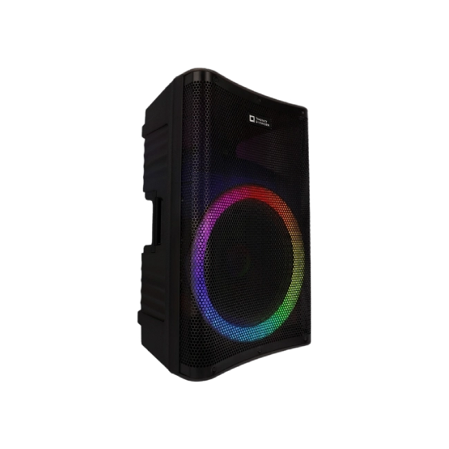 PARLANTE THONET & VANDER STARKG2 250W BLUETOOTH / RCA CON MICROFONO INALÁMBRICO HK096-03646-1