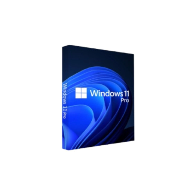Microsoft Windows  Pro 11 64-bit  ESD NO CD-2