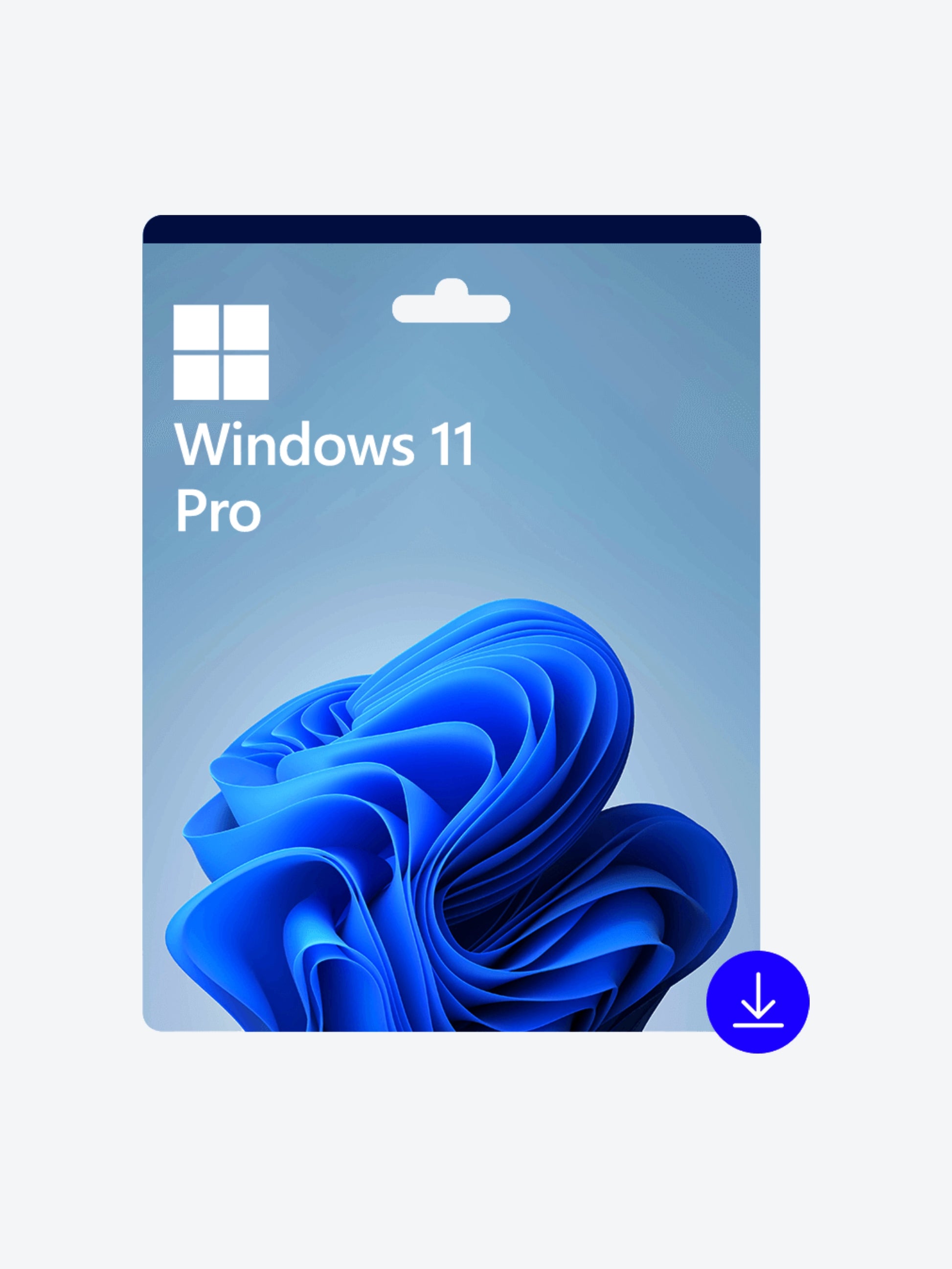 Microsoft Windows  Pro 11 64-bit  ESD NO CD-1